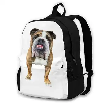 Bruno The Bulldog Пътна чанта за лаптоп, дамски Чанти Bruno Bulldog, английски булдог, на кучето, на Поколението на Louisaleadley1