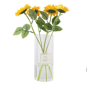 Ваза директни кръгли стъклени гидропонные вази, ваза за свежи цветя, прозрачна стъклена ваза за цветя вода, декорация за хол, топла разпродажба, нов продукт