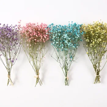 Мини декоративни сухи цветя Babysbreath Букет цветя от естествени растения с флорални принтом за сватбена декорация на дома