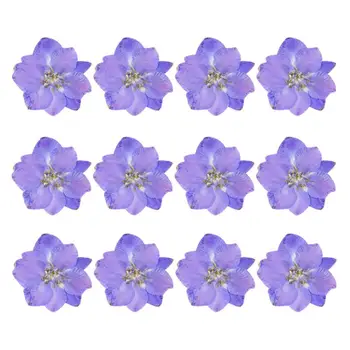 Създаване на собствените си ръце, сухи цветя за полагане на Трайни 12 бр. пресовани цветя от епоксидна смола Изсушени пресовани цветя за отметки