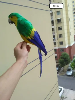 нова скъпа зелено-жълто модел папагал, имитирующая пяна и перо, подарък под формата на птица-папагал около 40 см d0109